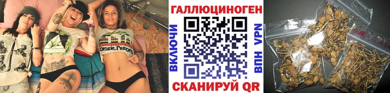 Купить закладки  Котлас  Галлюциногенные грибы мухоморы 